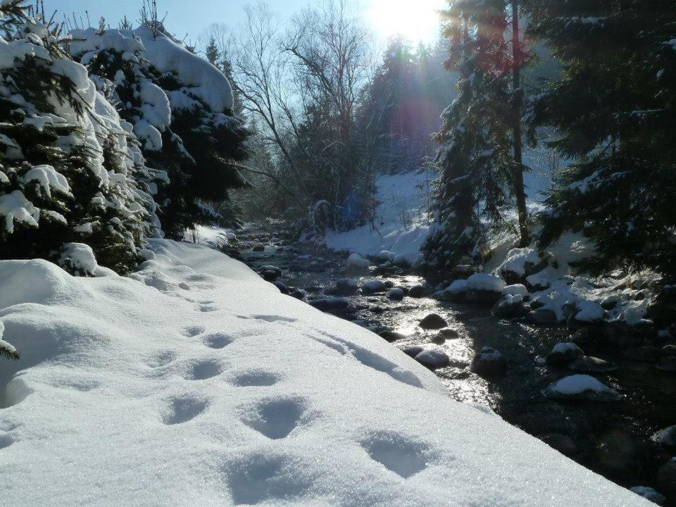 Chata Jana Demaenovska Dolina Exteriér fotografie